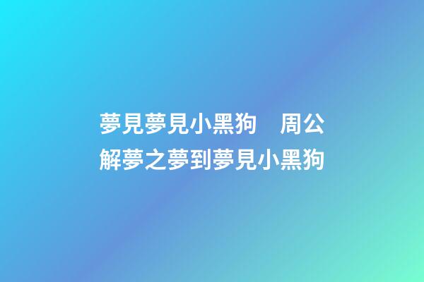 夢見夢見小黑狗　周公解夢之夢到夢見小黑狗